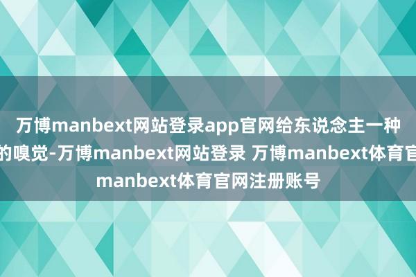万博manbext网站登录app官网给东说念主一种宁静而精巧的嗅觉-万博manbext网站登录 万博manbext体育官网注册账号
